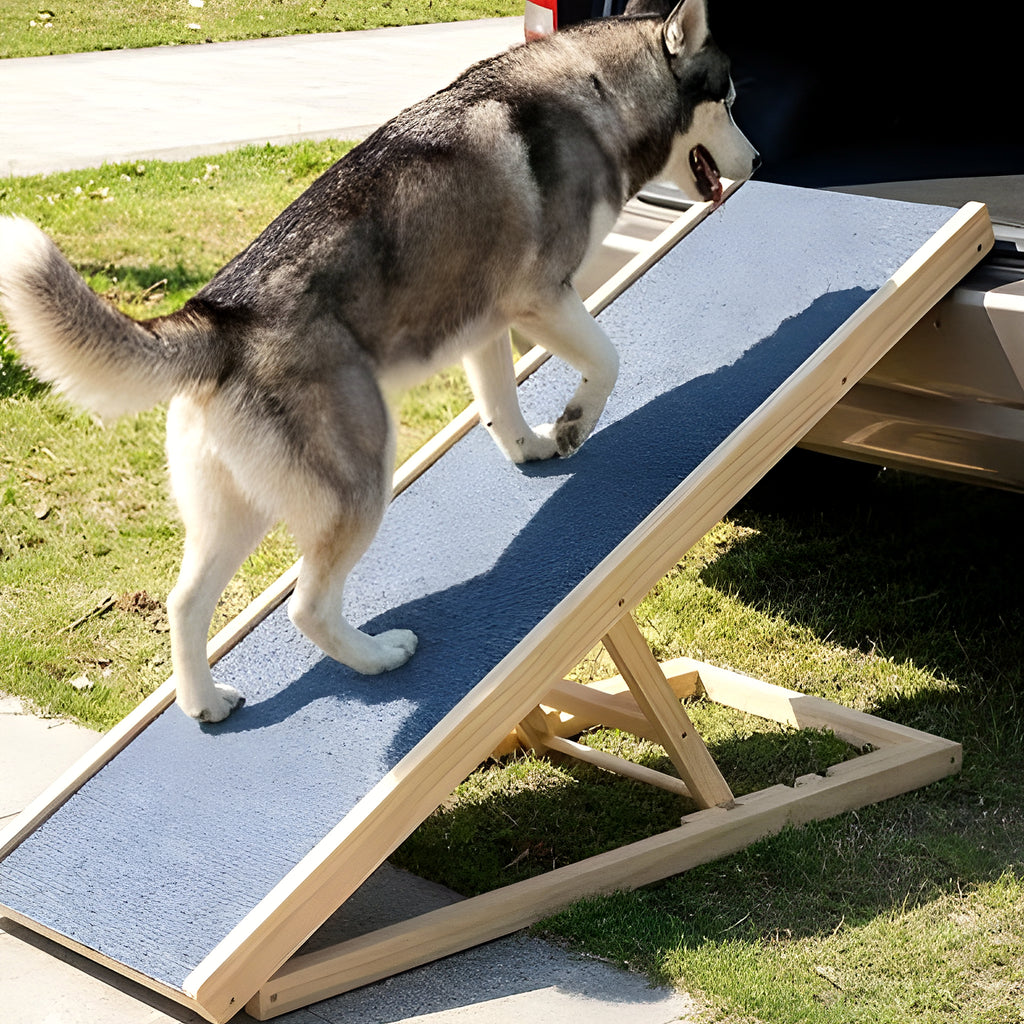 Rampe pliable compacte en pin massif pour chien