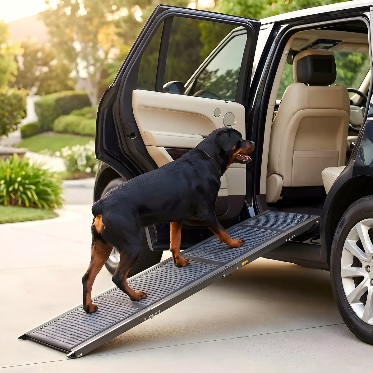 Rampe pliable en aluminium pour monter en voiture