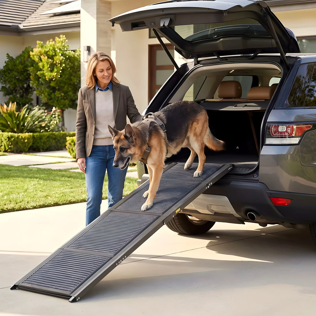 Rampe pliable en aluminium pour monter en voiture