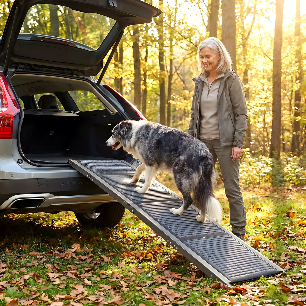 Rampe pliable en aluminium pour monter en voiture