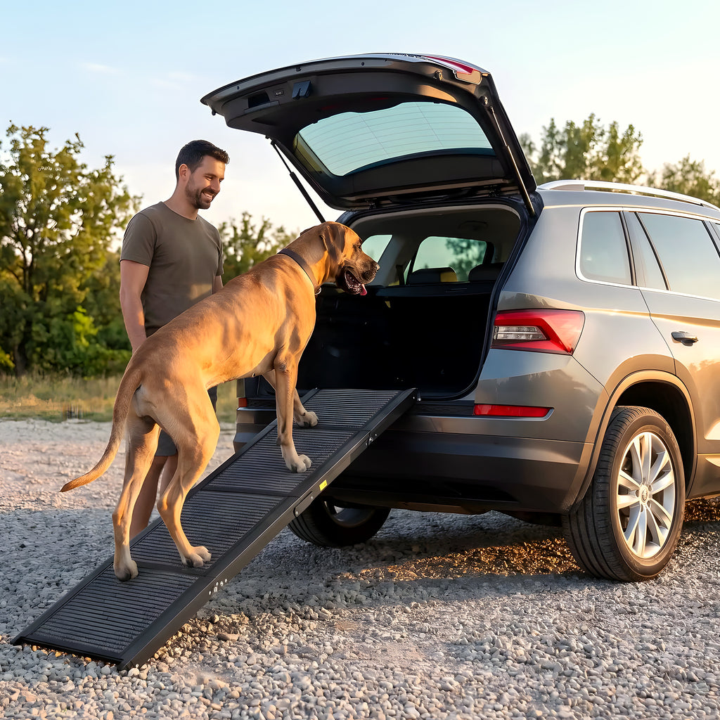Rampe pliable en aluminium pour monter en voiture