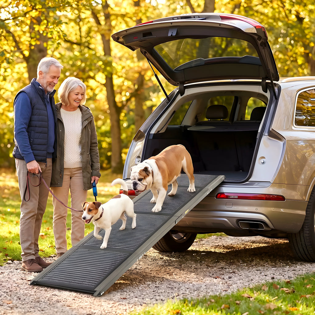 Rampe pliable en aluminium pour monter en voiture