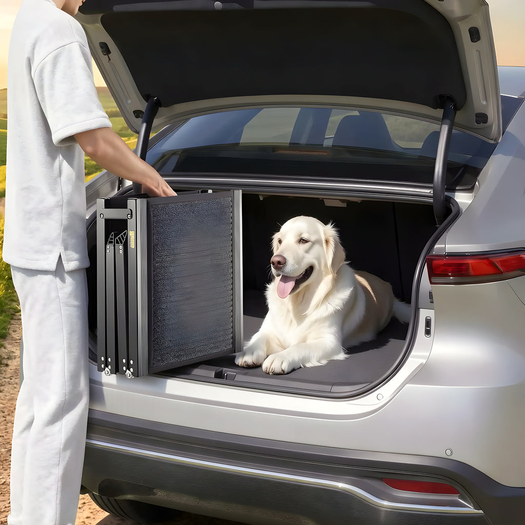 Rampe pliable en aluminium pour monter en voiture