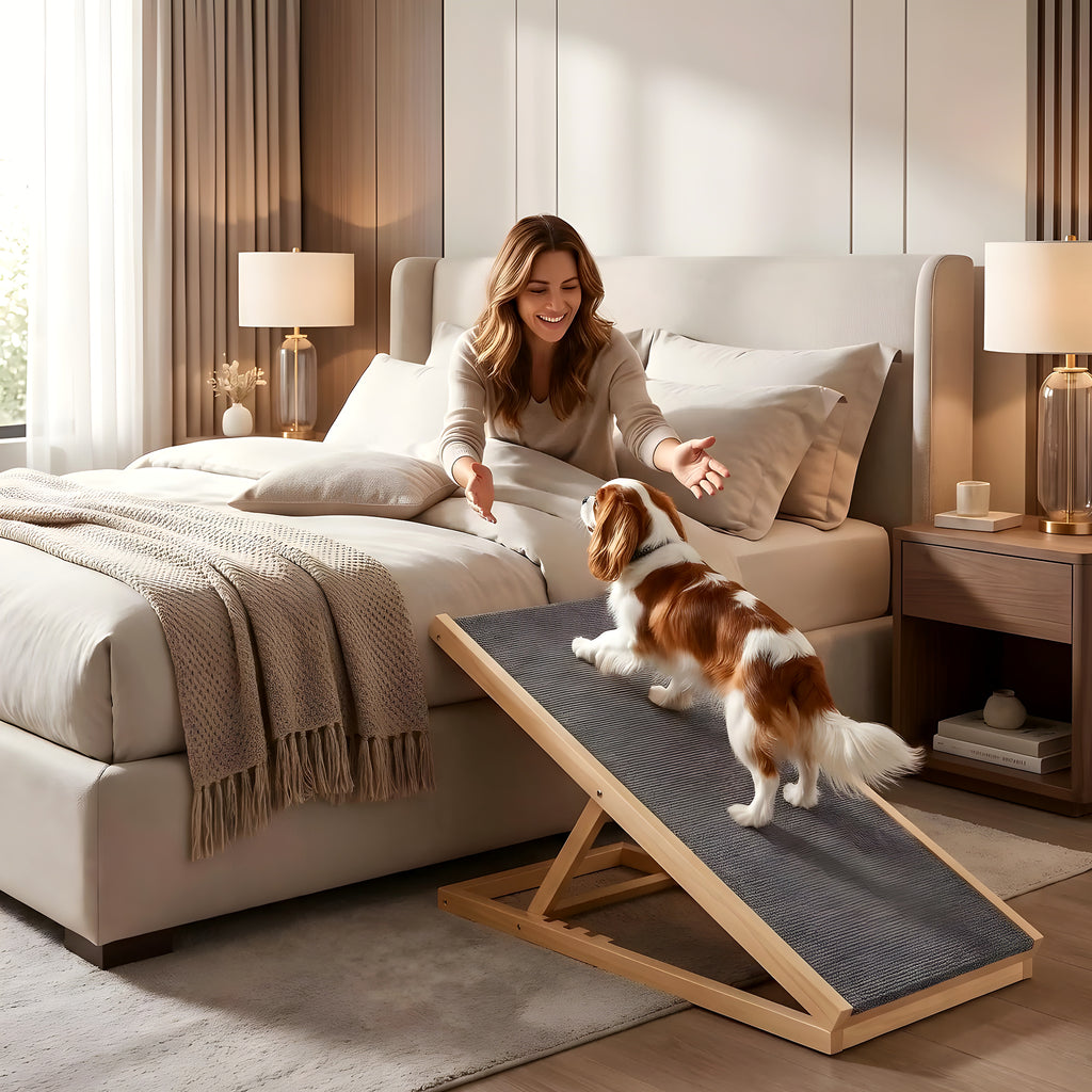 Rampe pliable en bois pour chien, 2 tailles