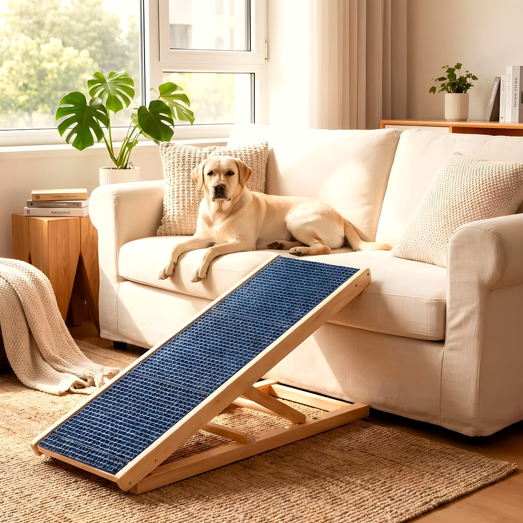Rampe pliable en bois pour chien, 2 tailles