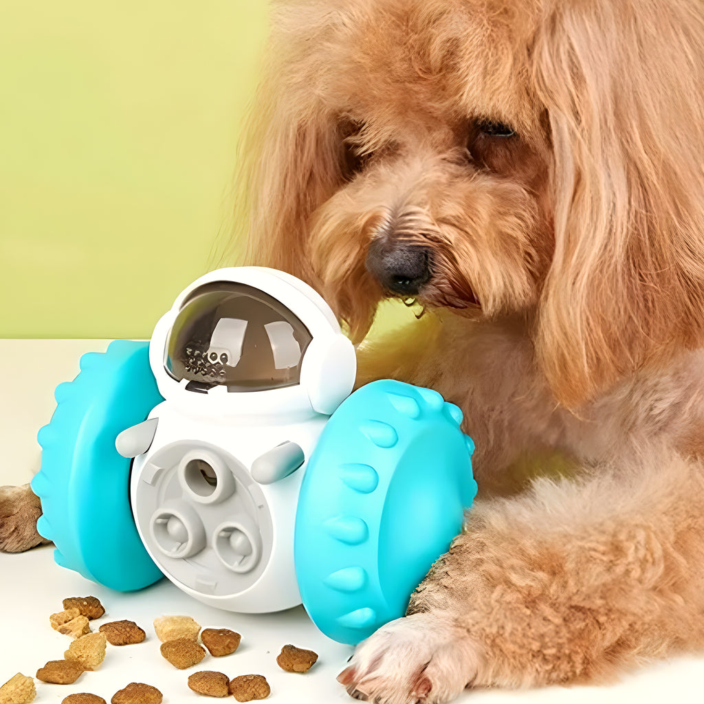Robot distributeur de croquettes pour chien