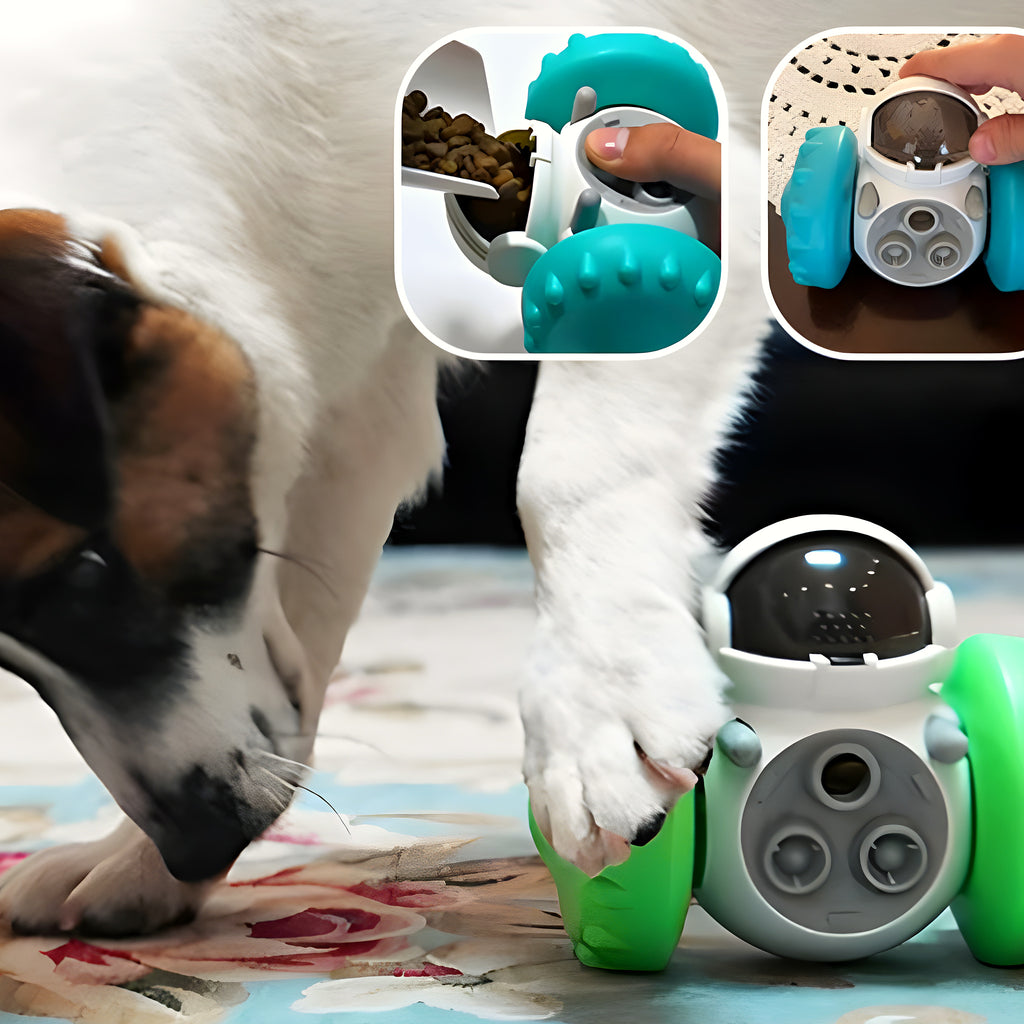 Robot distributeur de croquettes pour chien
