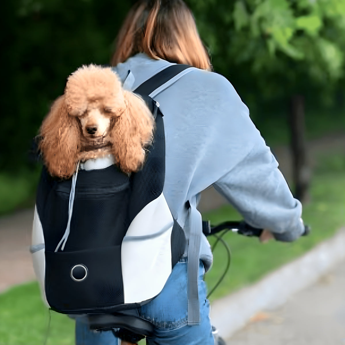 Sac à dos ventral ou dorsal pour petit chien