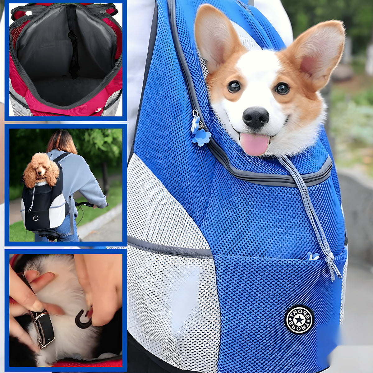Sac à dos ventral ou dorsal pour petit chien