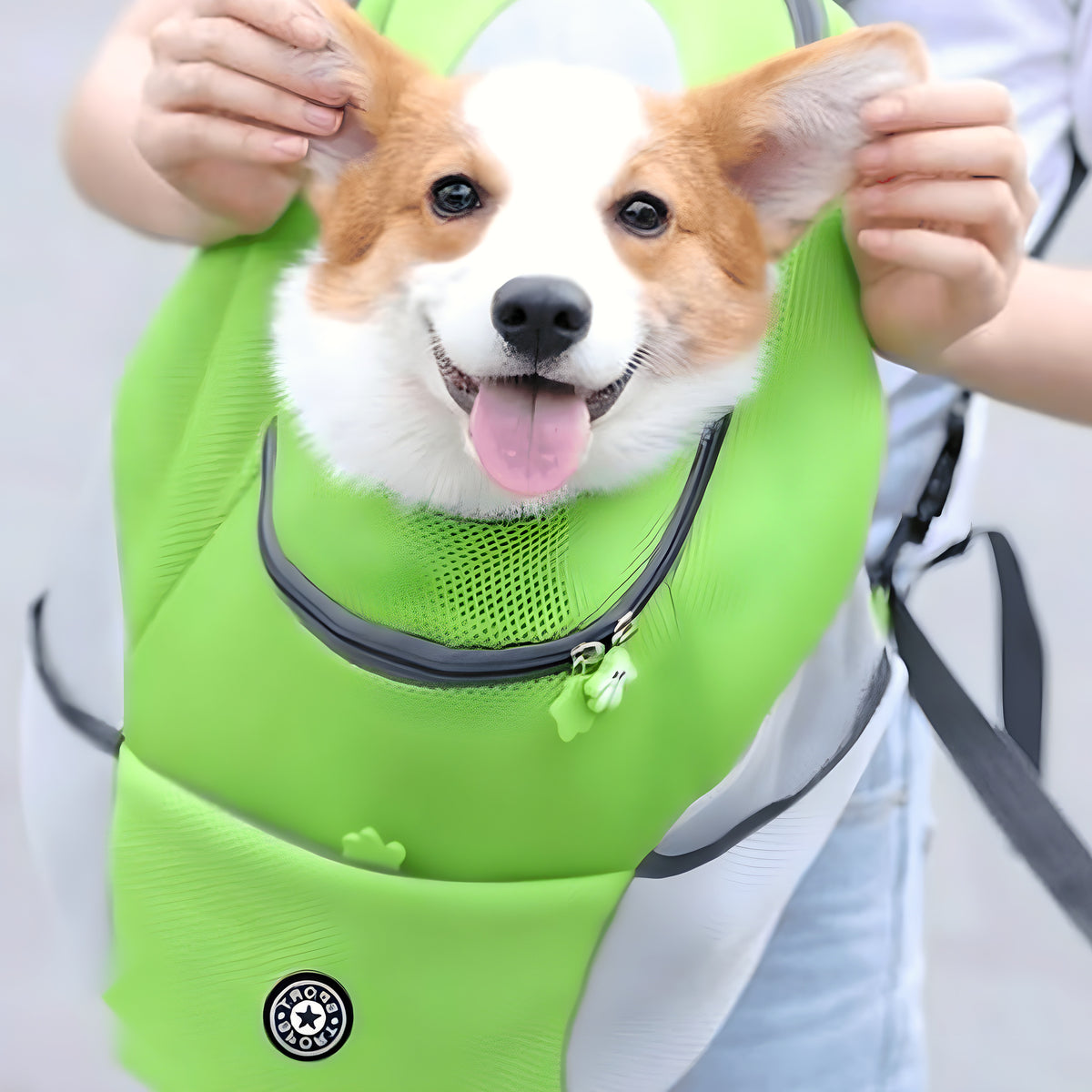 Sac à dos ventral ou dorsal pour petit chien