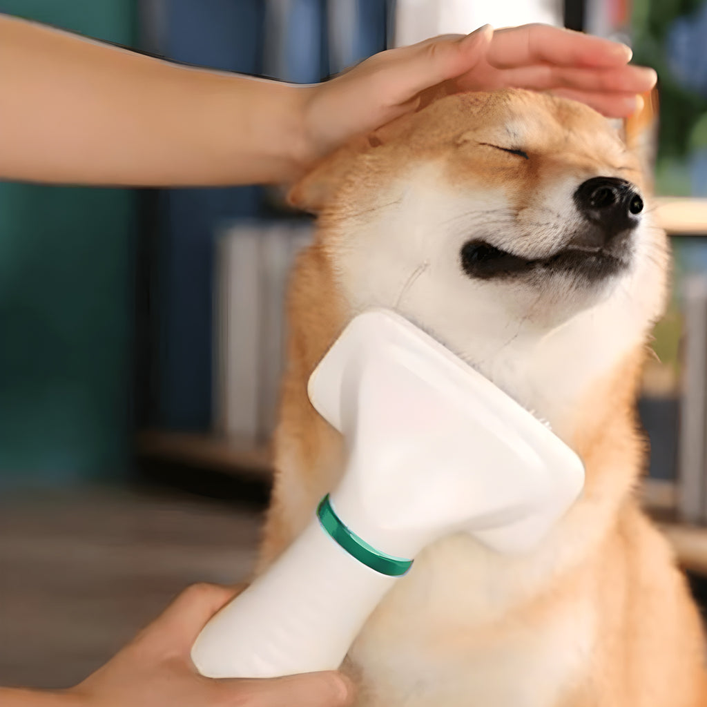 Séchoir et brosse 2-en-1 silencieux pour chien