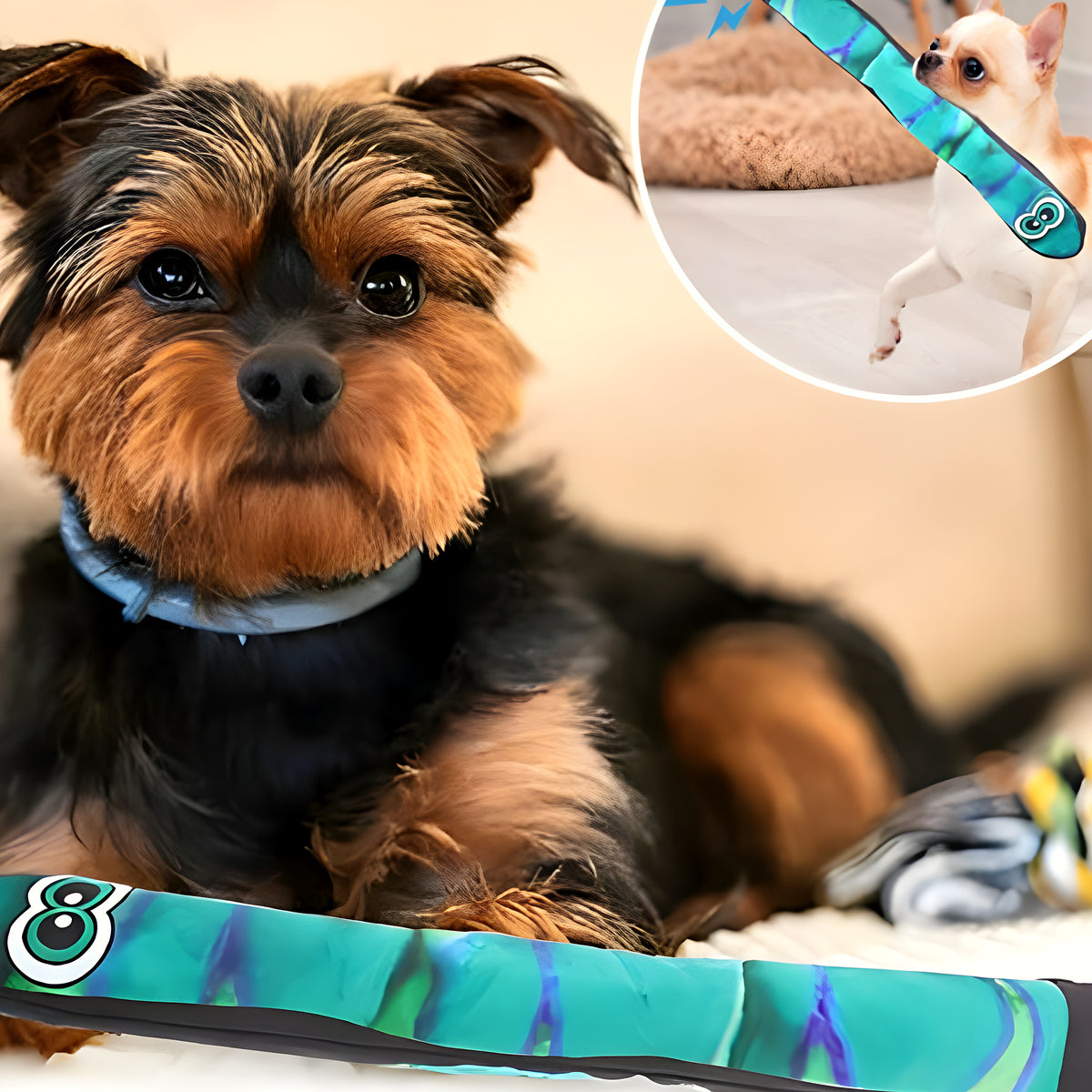 Serpent en peluche qui couine pour chiot et chien