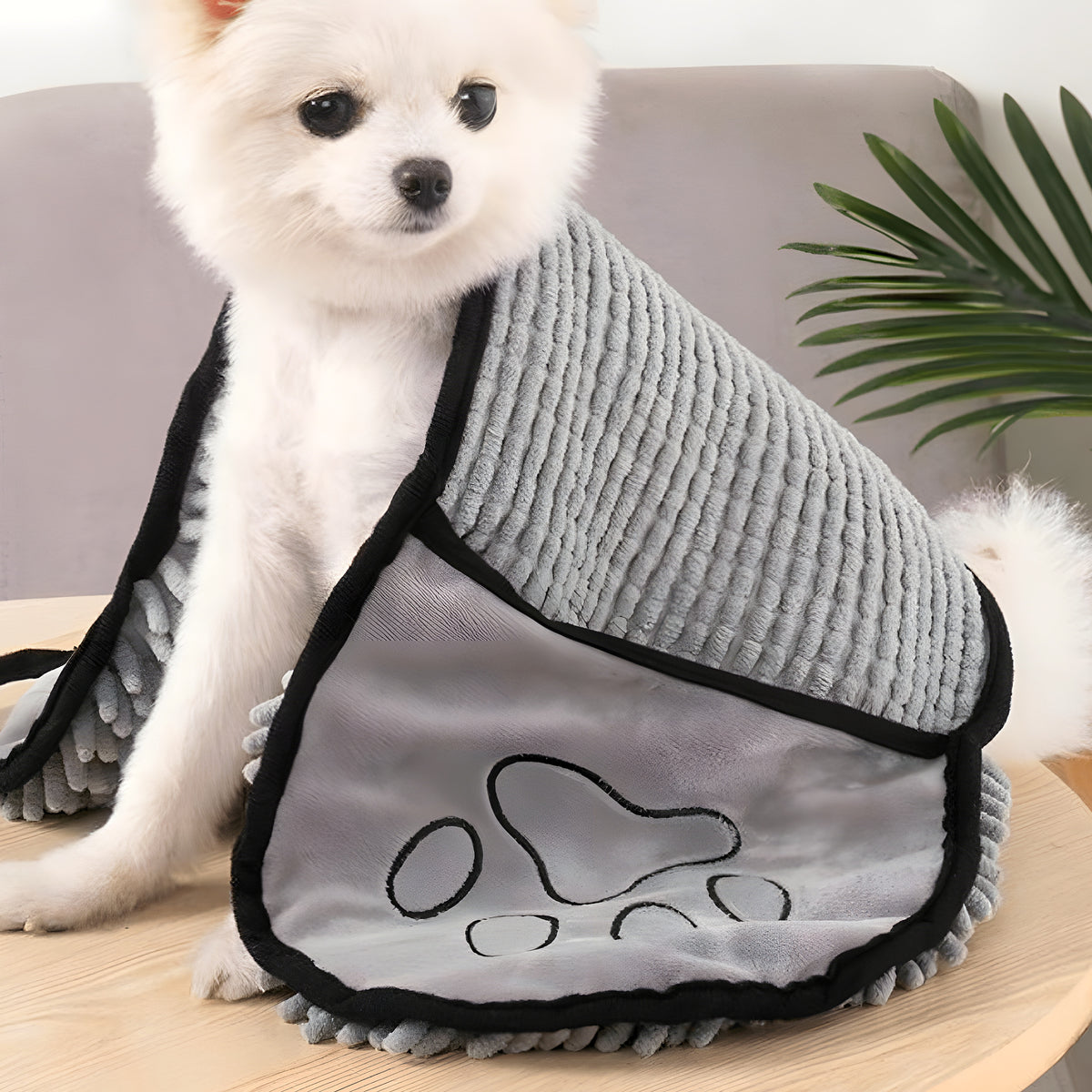 Serviette ultra-absorbante pour chien, 5 coloris