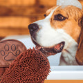 Serviette ultra-absorbante pour chien, 5 coloris