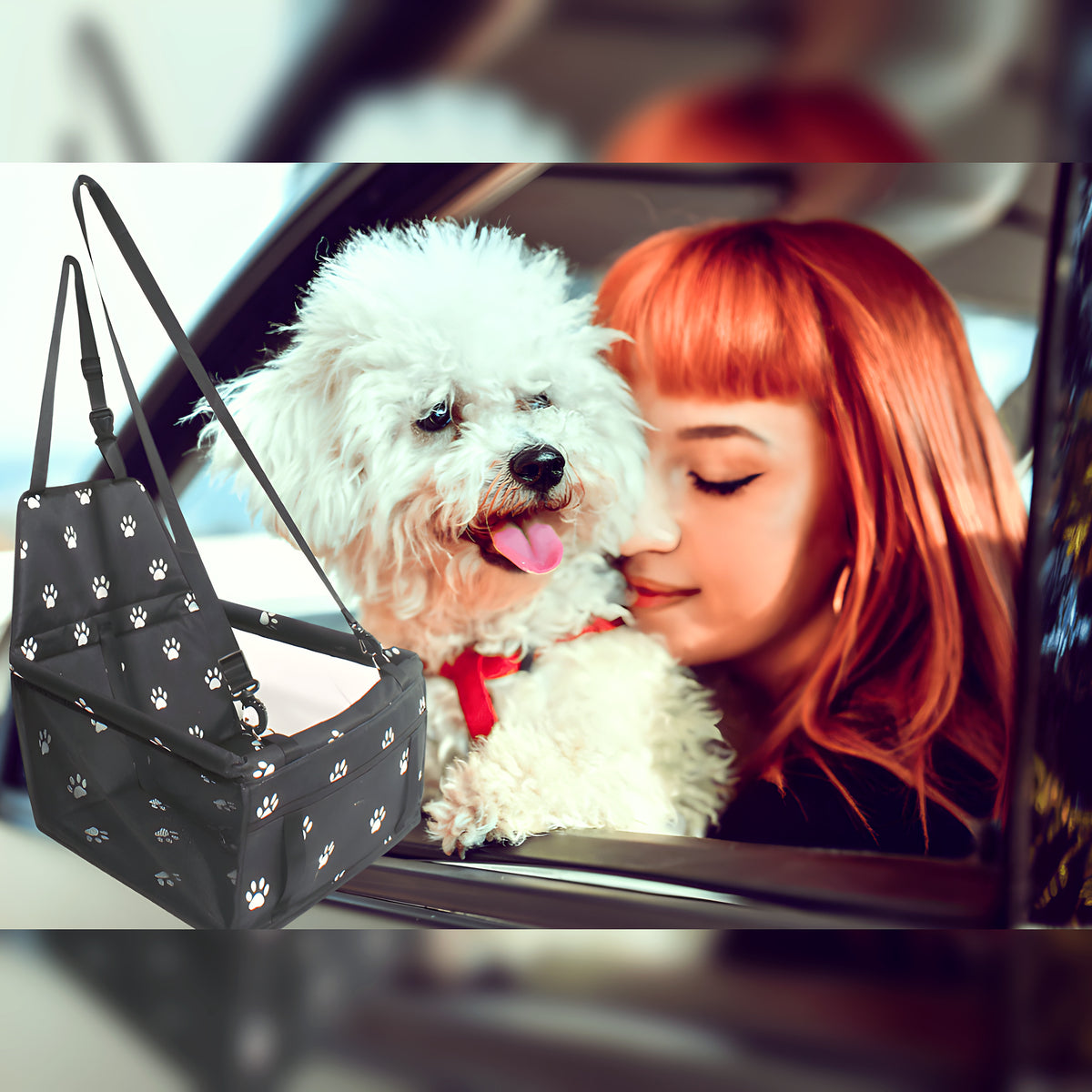 Siège auto pour petit chien avec ceinture de sécurité