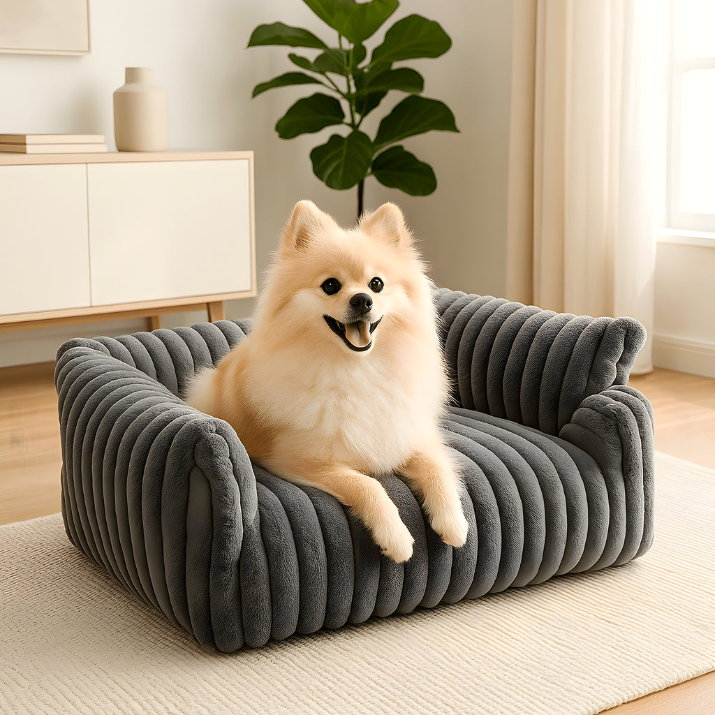 Sofa à trois côtés pour petit chien, 3 coloris