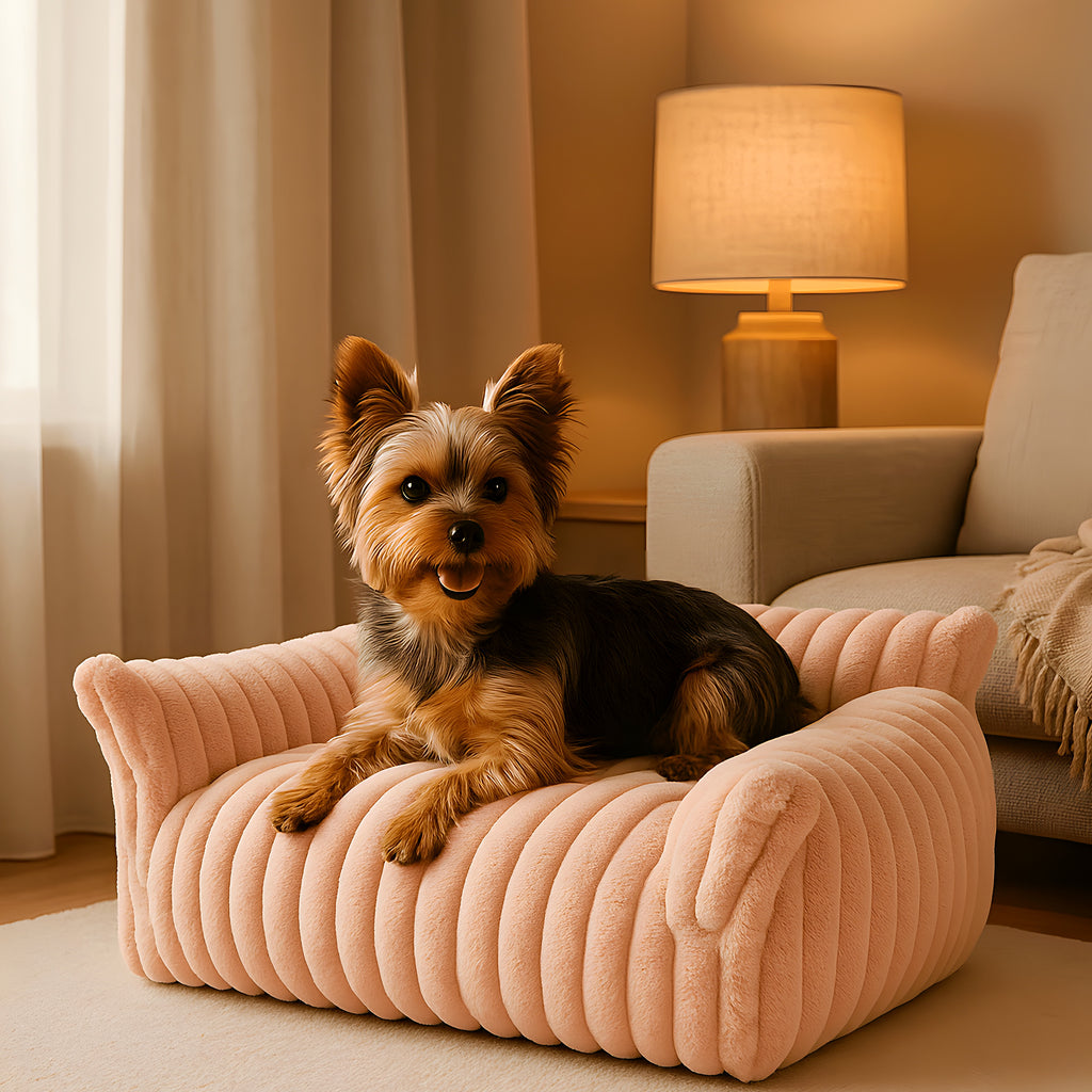 Sofa à trois côtés pour petit chien, 3 coloris