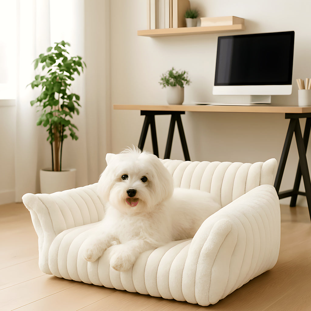 Sofa à trois côtés pour petit chien, 3 coloris