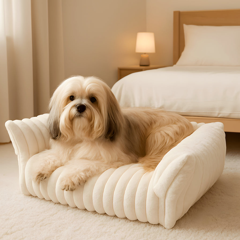 Sofa à trois côtés pour petit chien, 3 coloris
