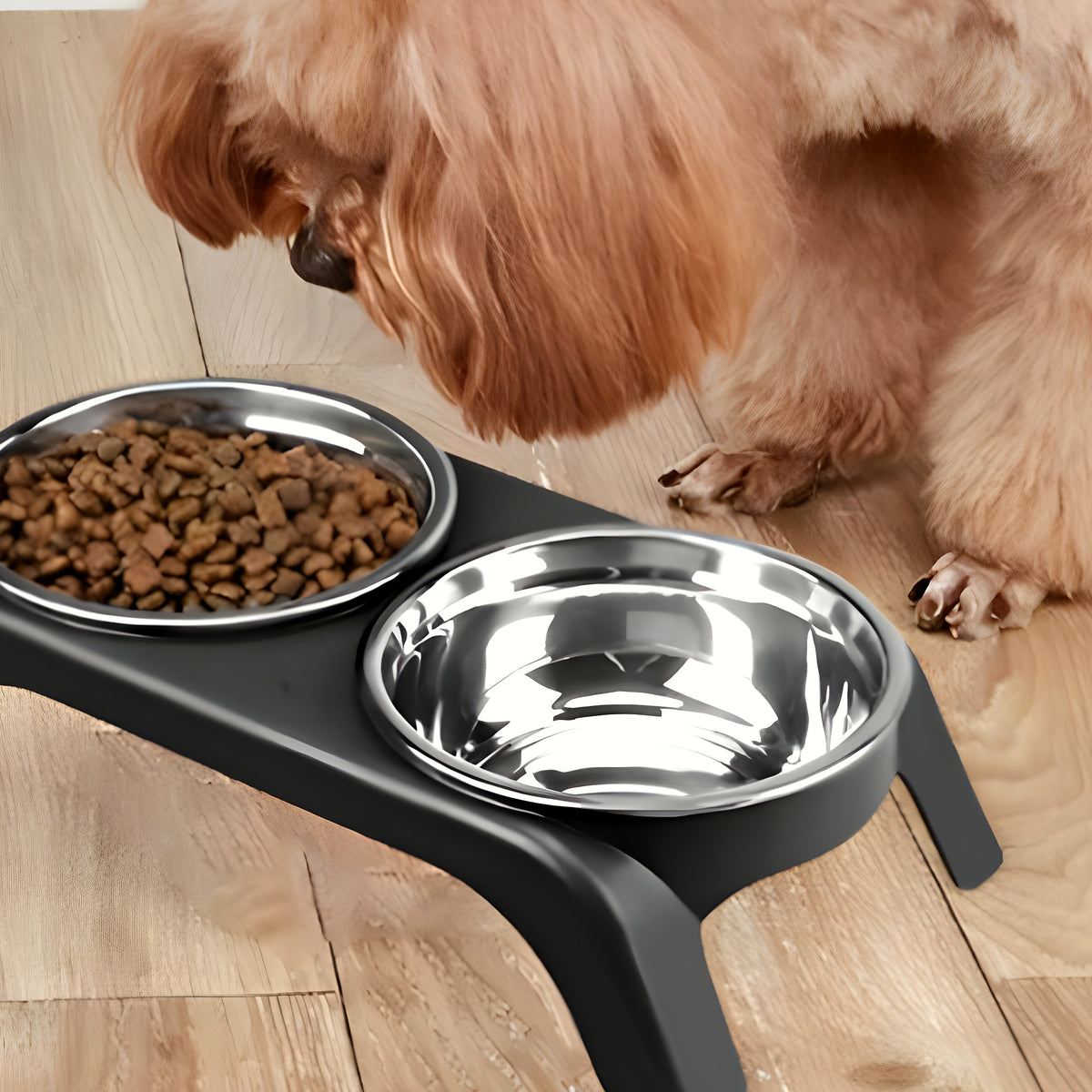 Support surélevé avec 2 gamelles inox pour chiot et petit chien