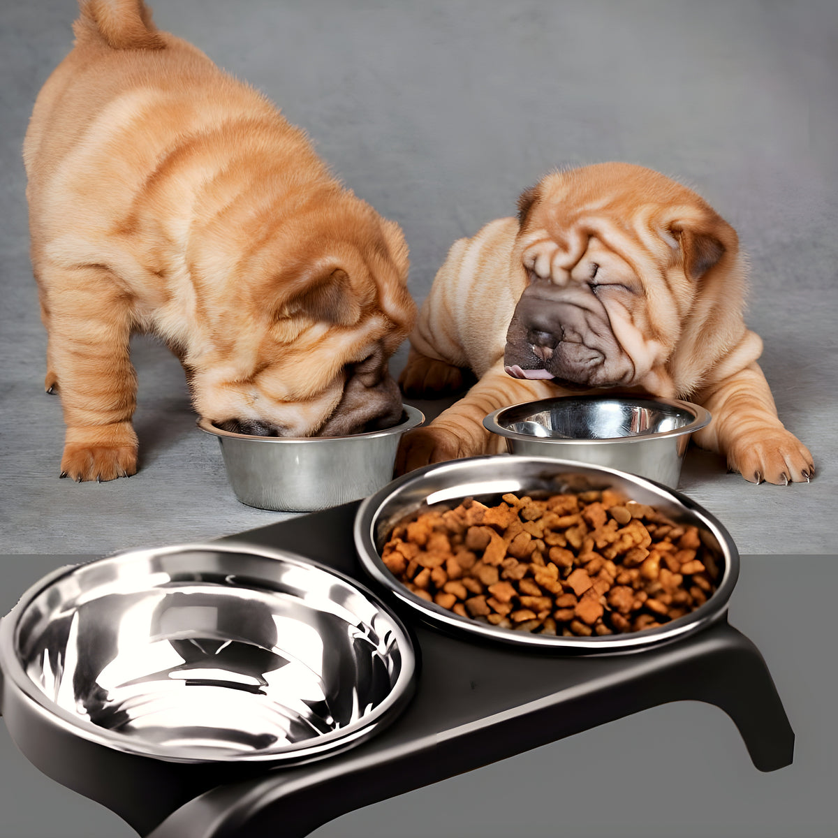 Support surélevé avec 2 gamelles inox pour chiot et petit chien