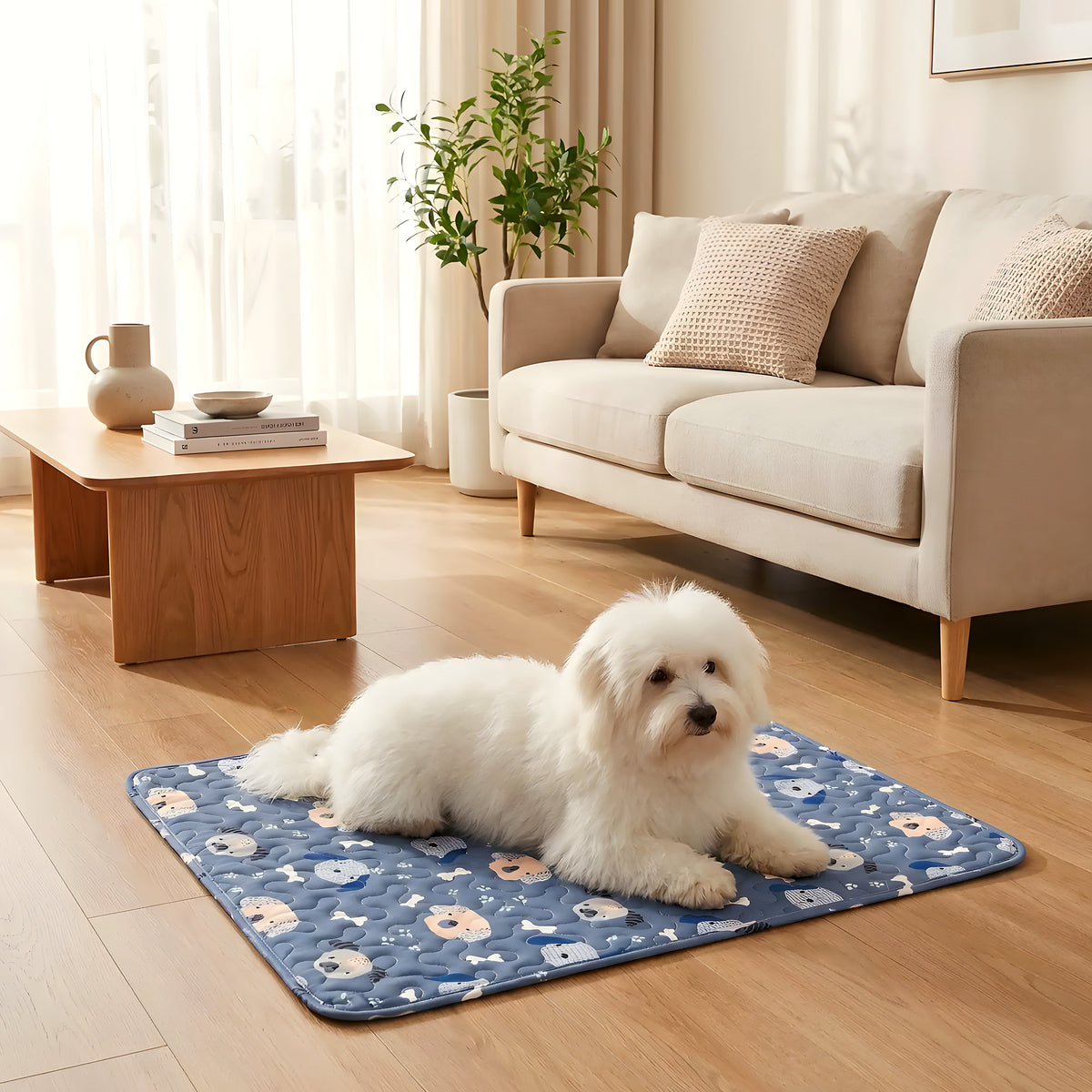 Tapis 4 saisons en coton pour chien, bleu ou vert