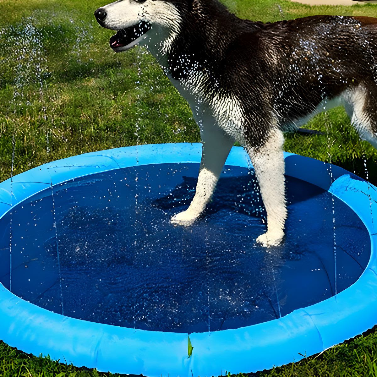 Tapis à jets d'eau pour chien, S à L