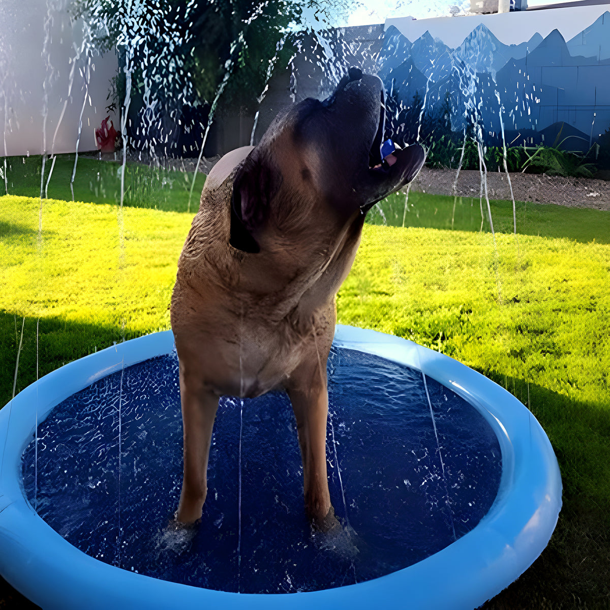 Tapis à jets d'eau pour chien, S à L