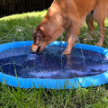 Tapis à jets d'eau pour chien, S à L