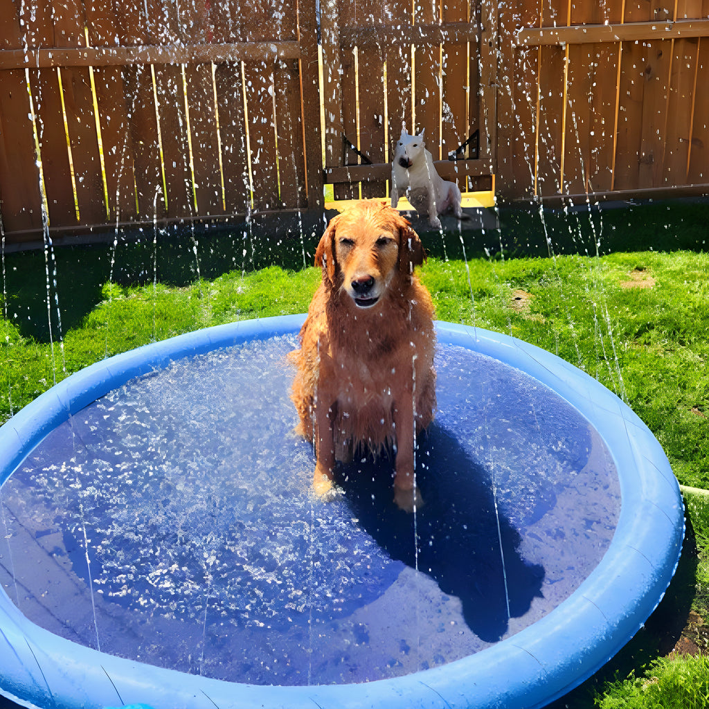 Tapis à jets d'eau pour chien, S à L