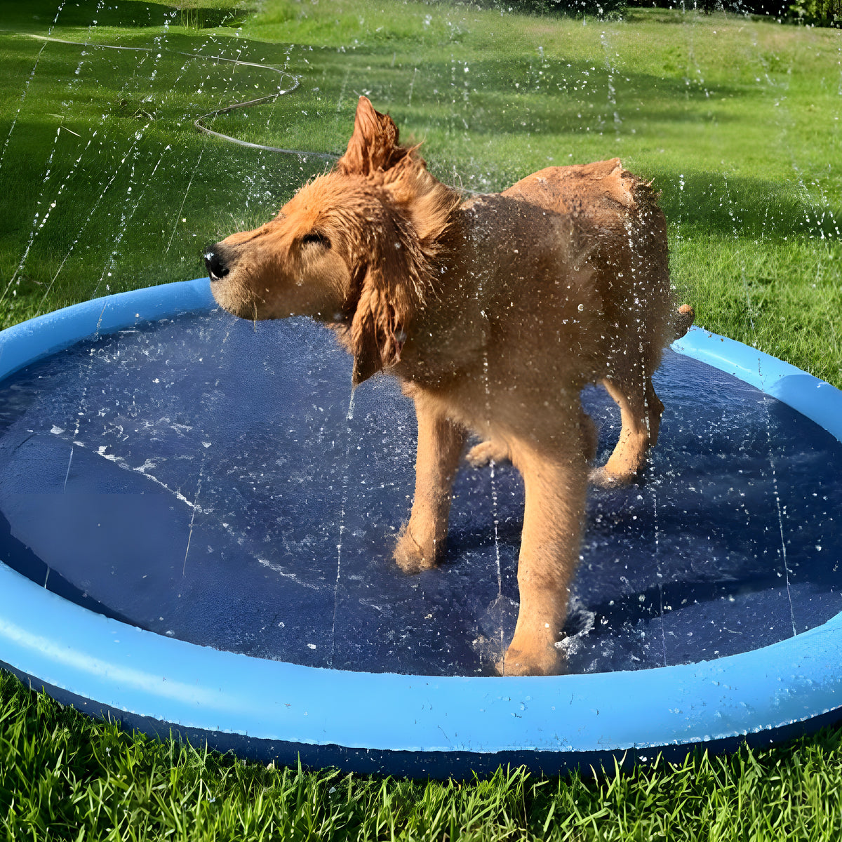 Tapis à jets d'eau pour chien, S à L