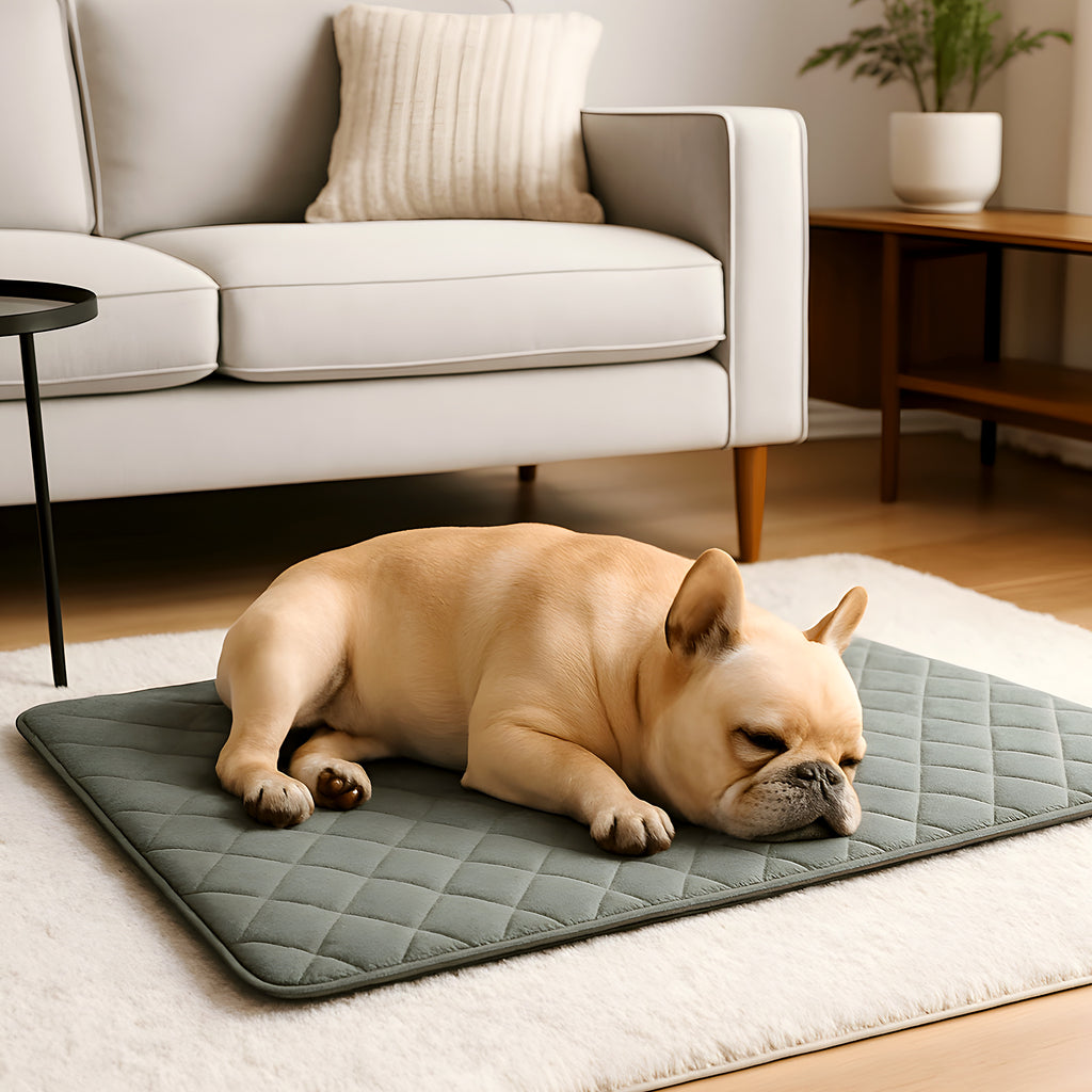 Tapis à mémoire de forme en lin pour chien senior