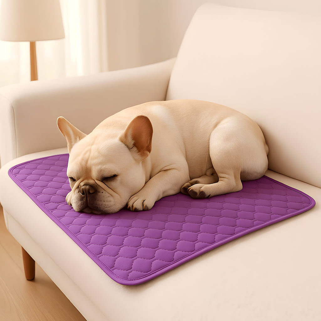 Tapis absorbant 4 couches effet gel pour chien, 3 tailles
