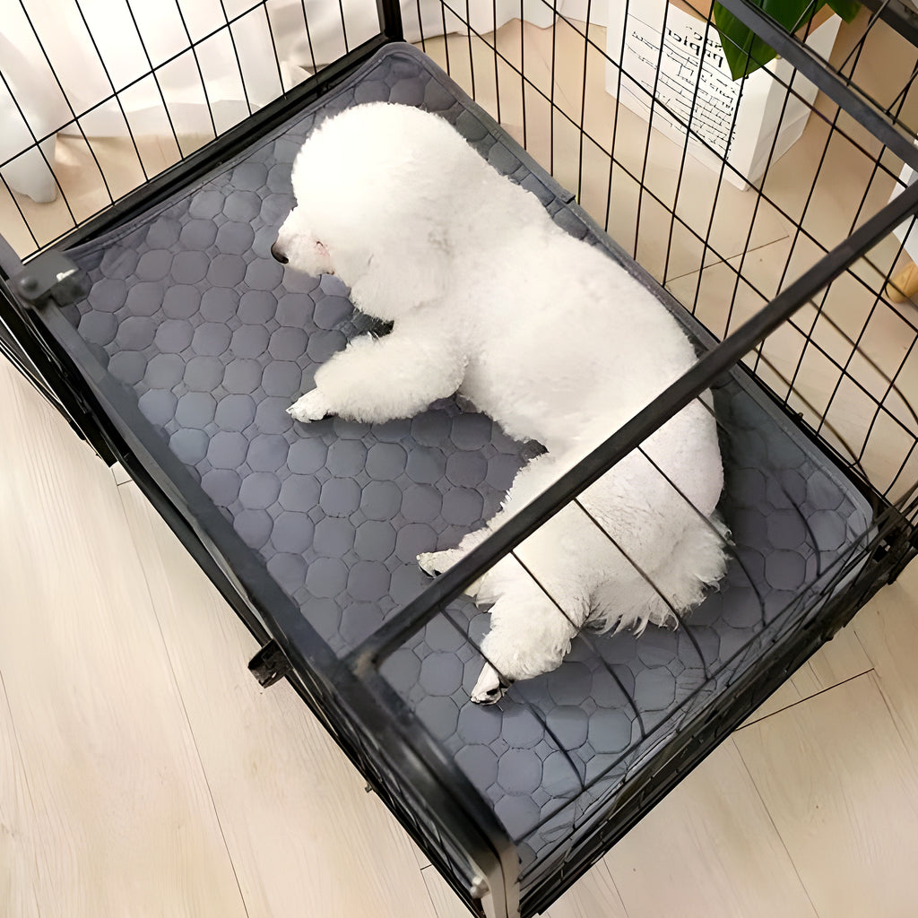Tapis absorbant 4 couches effet gel pour chien, 3 tailles