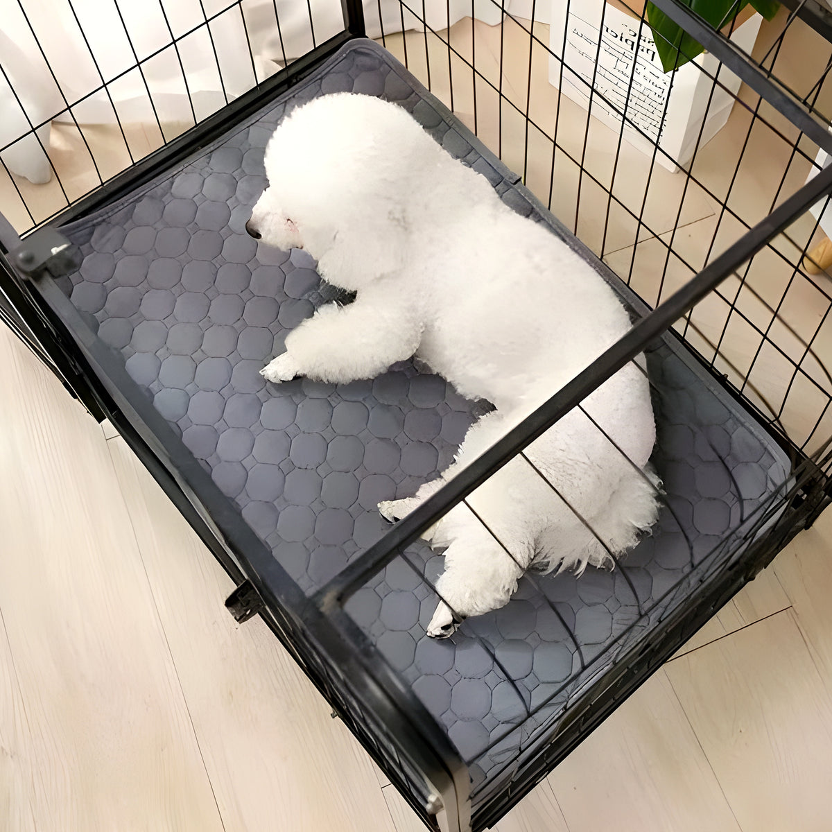 Tapis absorbant 4 couches effet gel pour chien, 3 tailles