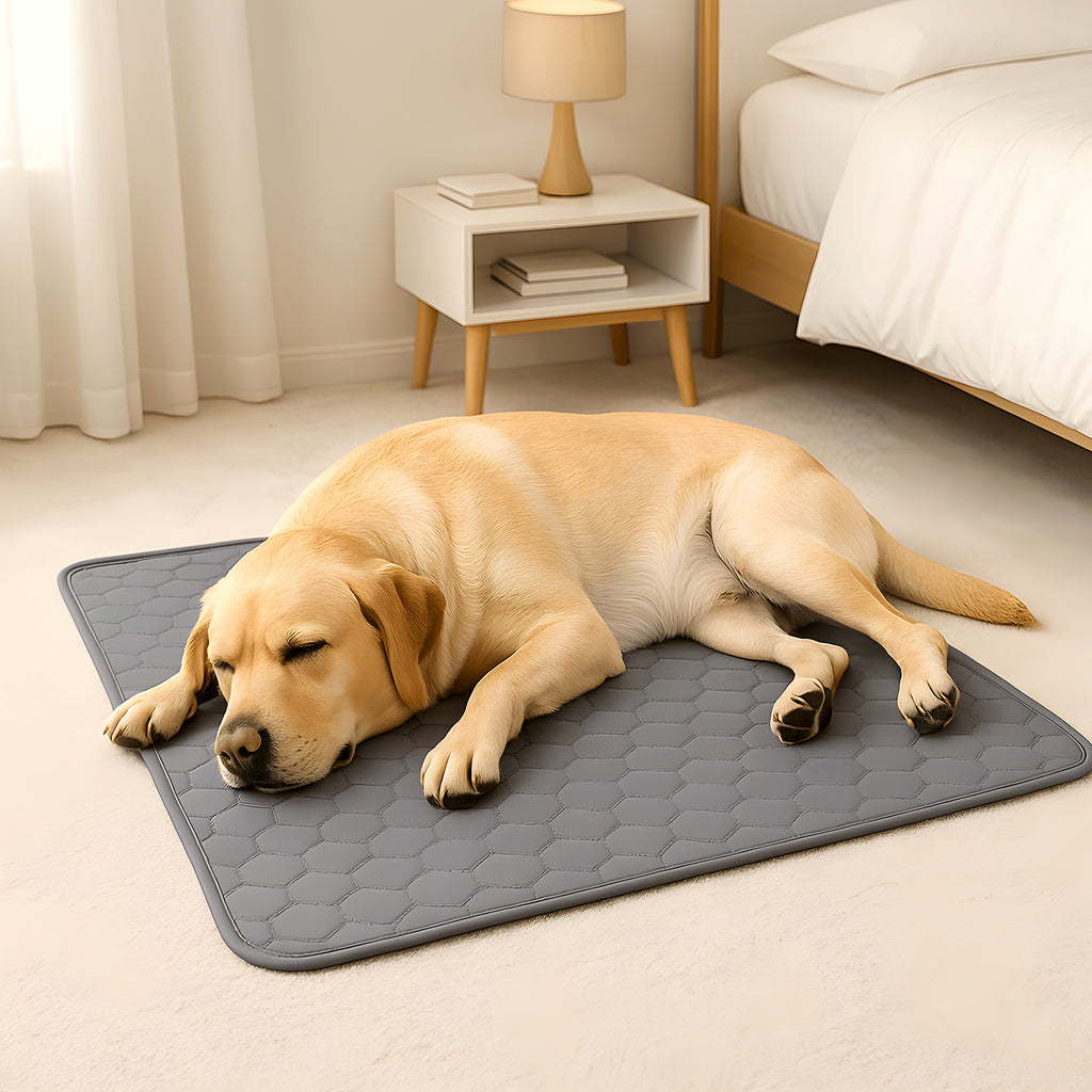 Tapis absorbant 4 couches effet gel pour chien, 3 tailles