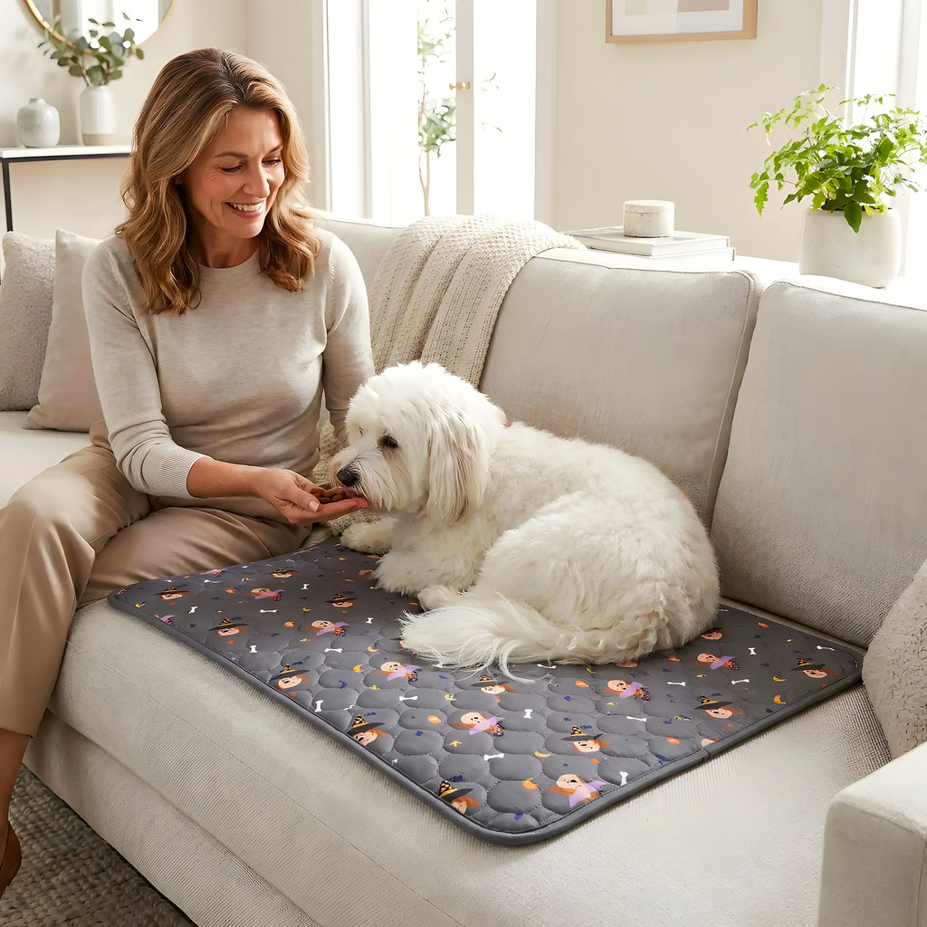 Tapis absorbant lavable motif chien, 4 tailles