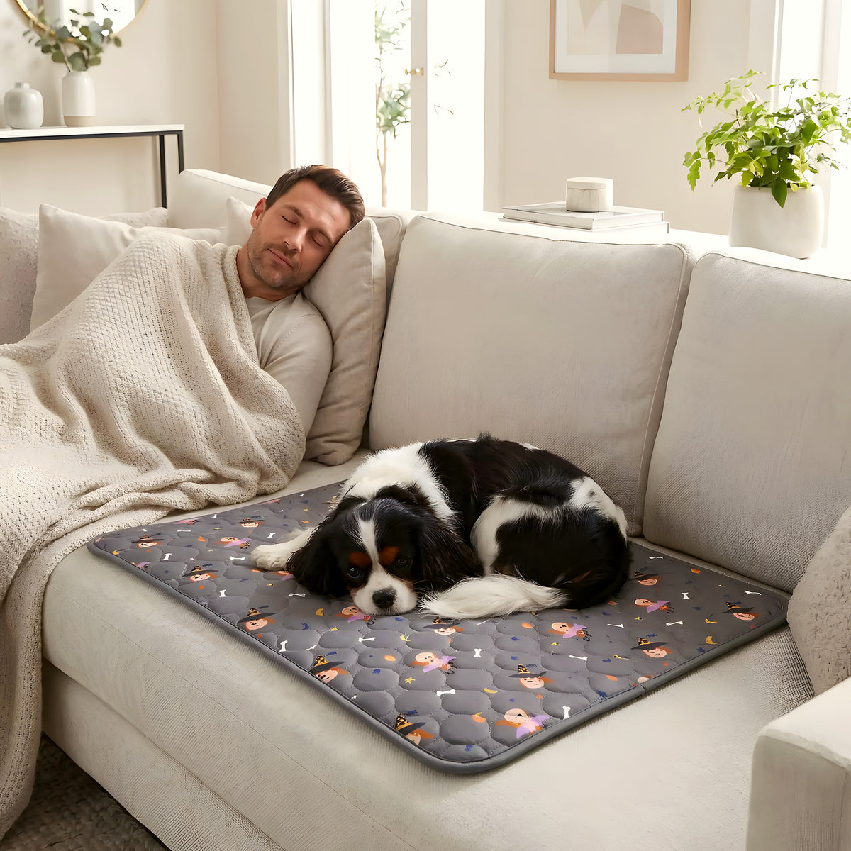 Tapis absorbant lavable motif chien, 4 tailles