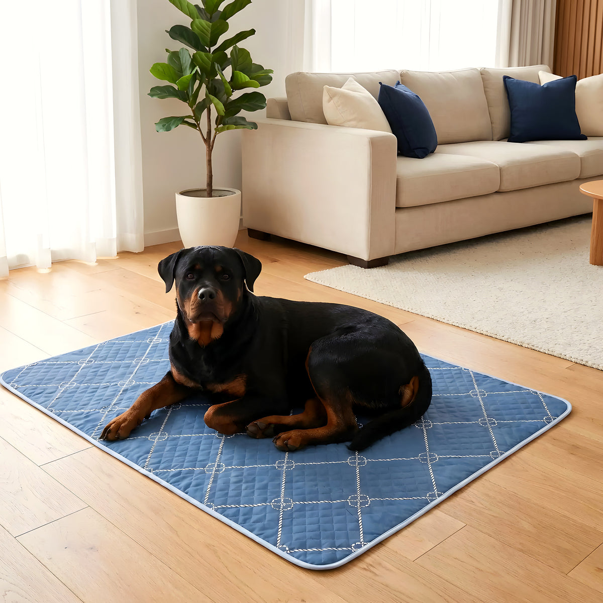 Tapis absorbants lavables bleu roi, lot de 2