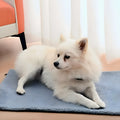 Tapis auto-chauffant déhoussable pour chien, S ou M