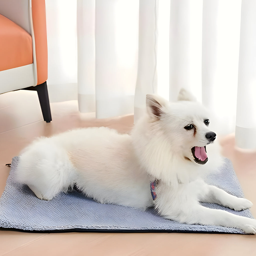 Tapis auto-chauffant déhoussable pour chien, S ou M
