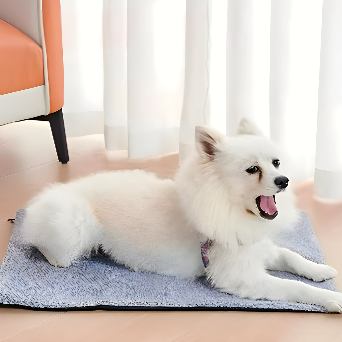 Tapis auto-chauffant déhoussable pour chien, S ou M