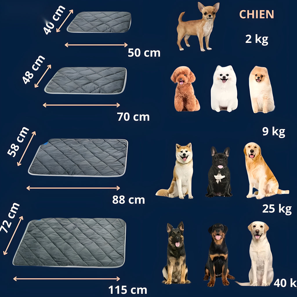 Tapis auto-chauffant sans électricité pour chien, S à XL
