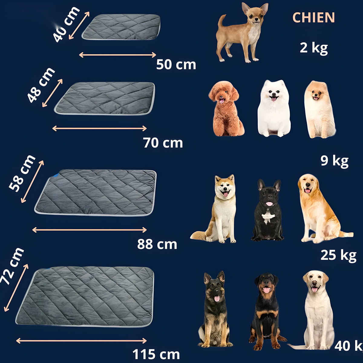 Tapis auto-chauffant sans électricité pour chien, S à XL