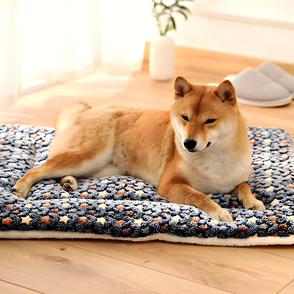 Tapis de couchage en velours corail pour chien, S à XXL
