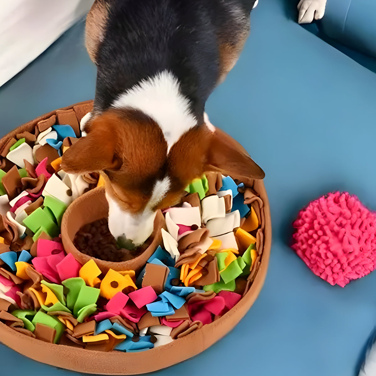 Tapis de fouille à textures variées pour chien