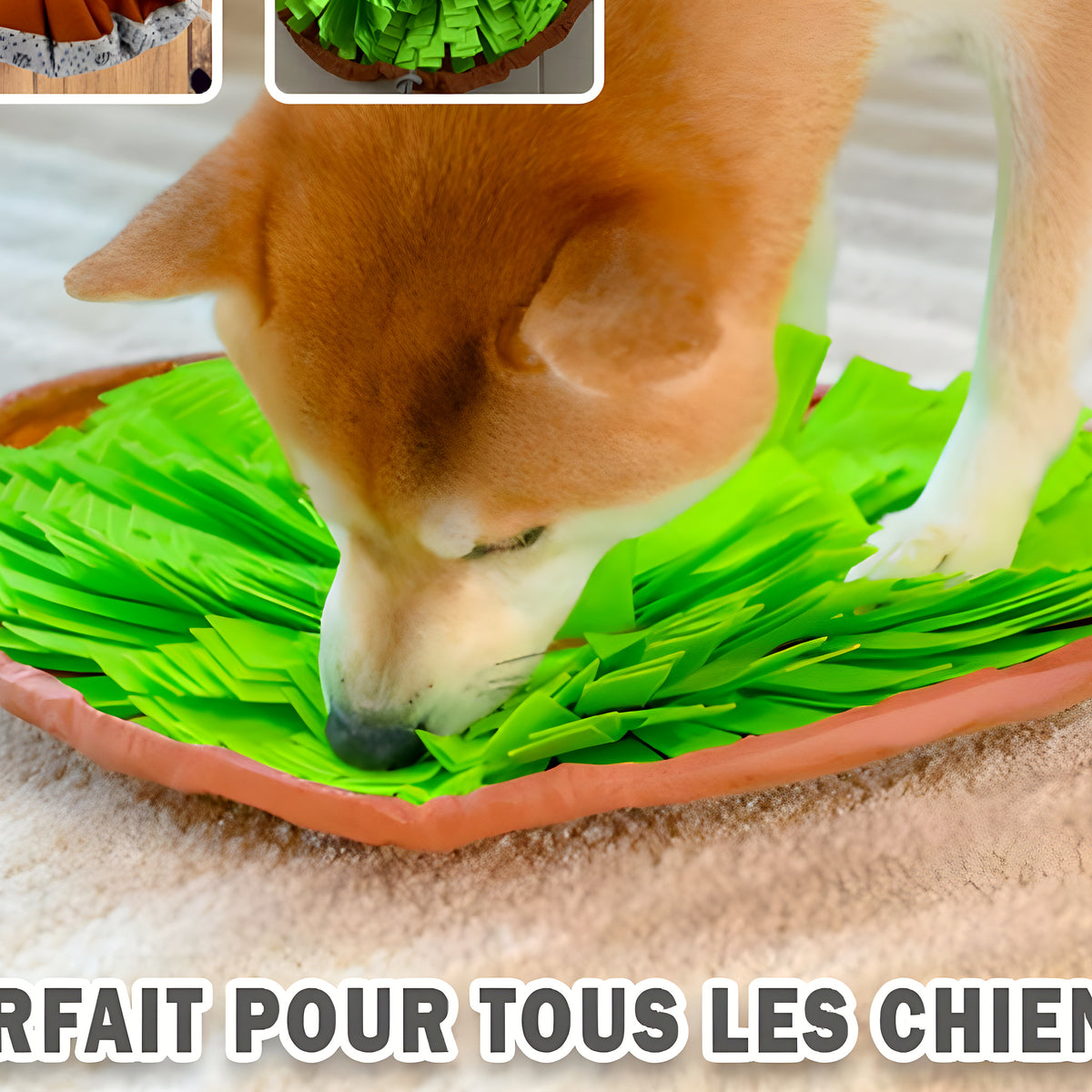 Tapis de fouille effet herbe en feutre pour chien