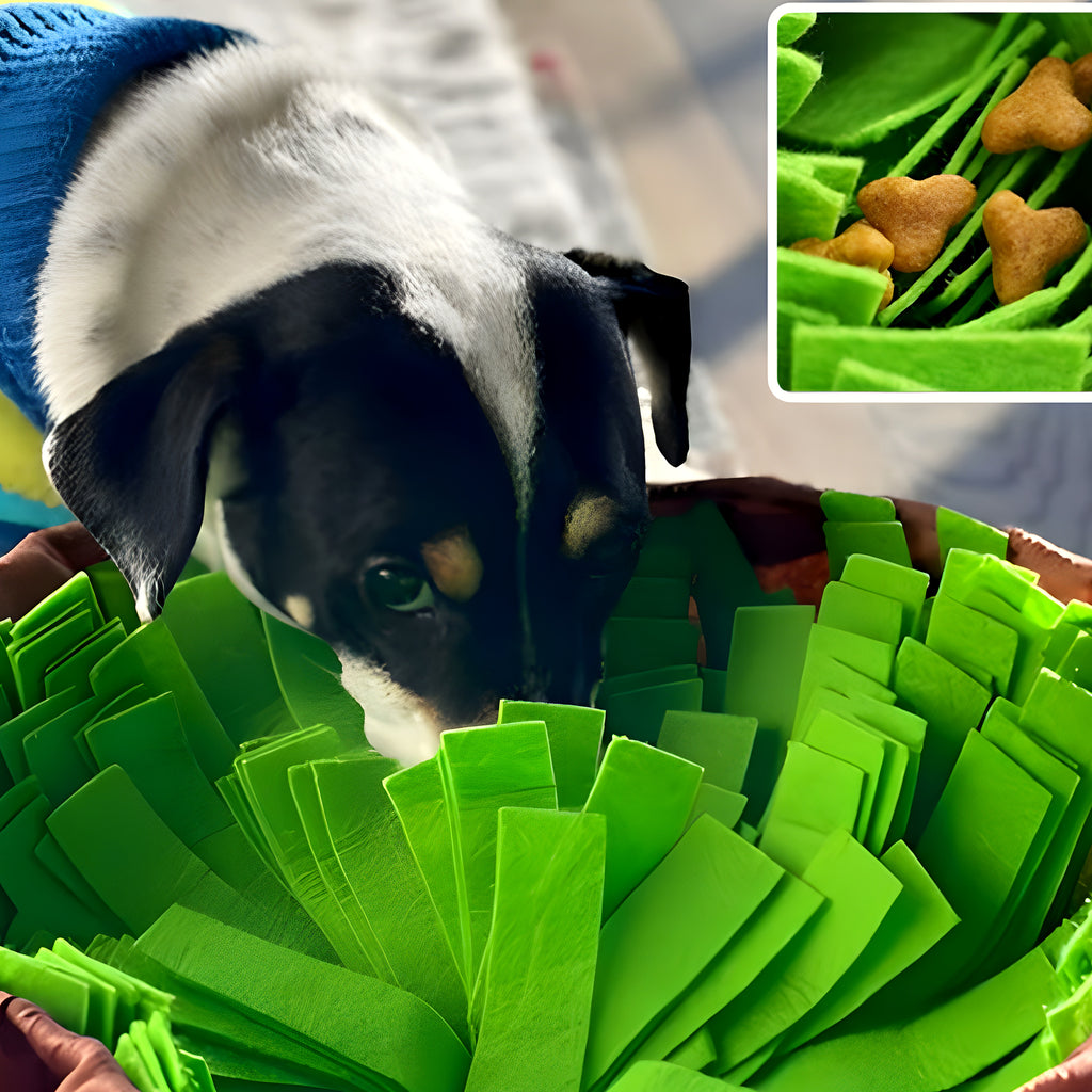 Tapis de fouille effet herbe en feutre pour chien