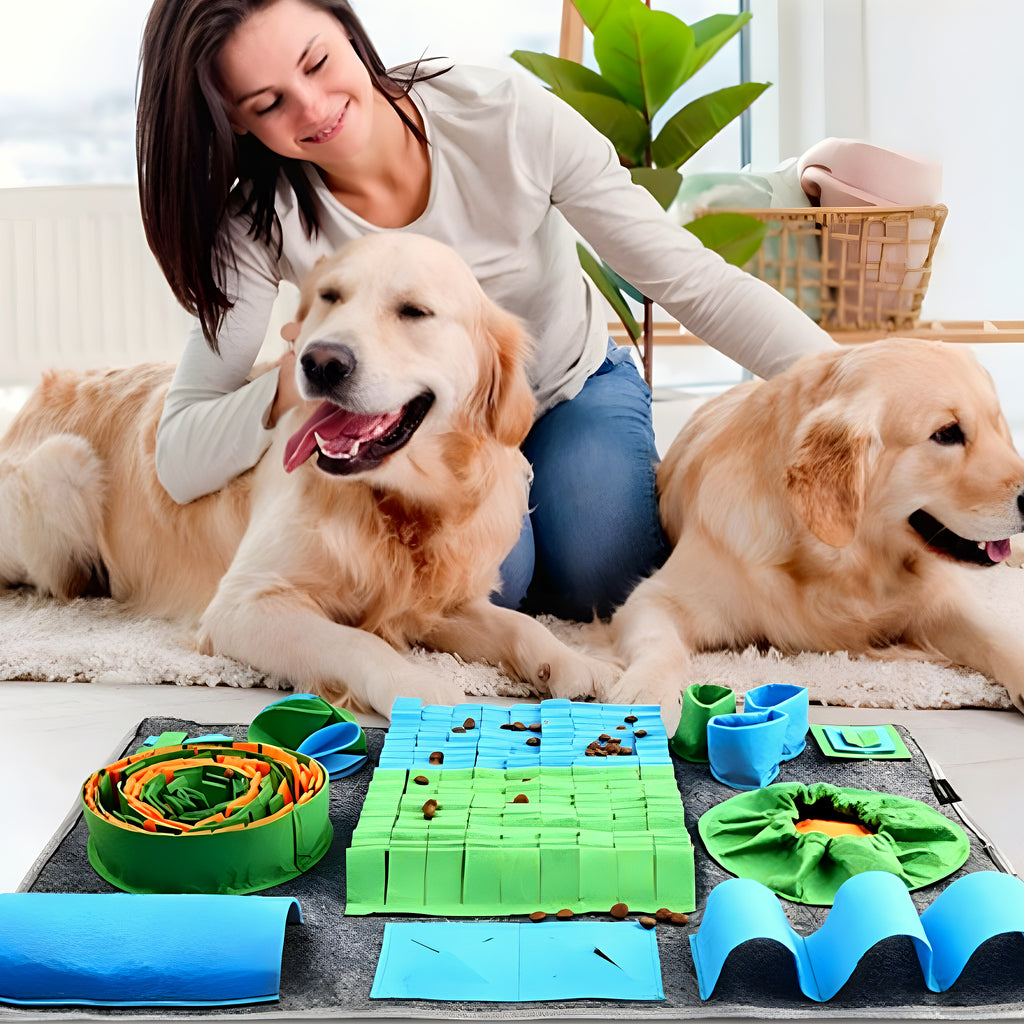 Tapis de fouille pliable pour chien, bleu ou gris