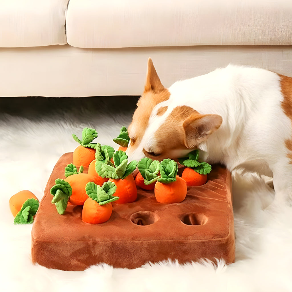 Tapis de jeu potager avec carottes à dénicher pour chien